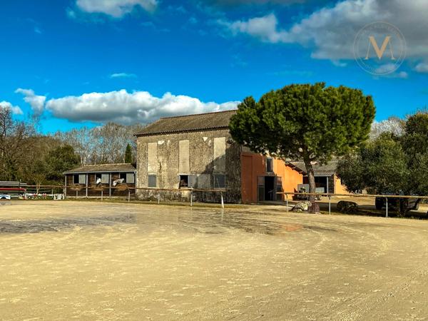Propriété équestre de standing – Installations haut de gamme – 5 ha – Un bien rare offrant des infrastructures professionnelles, une maison confortable et un environnement priviligé à MOISSAC (82)