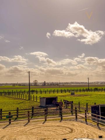 Propriété équestre de standing – Installations haut de gamme – 5 ha – Un bien rare offrant des infrastructures professionnelles, une maison confortable et un environnement priviligé à MOISSAC (82)