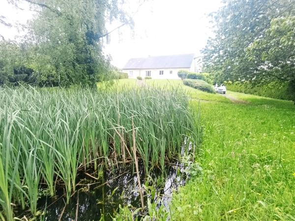 Maison de plain-pied, 4 chambres ,;Terrain arboré 3 00 m2