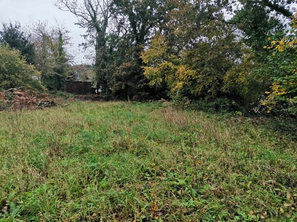 Terrain constructible avec Hangar et dépendance en pierre