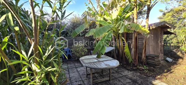 A saisir à 100 m de la plage de la Parée, sur un terrain et un jardin sans vis à vis, une maison de 41 m² habitables environ, comprenant une pièce de vie avec poêle à bois, une chambre avec placard, une salle d'eau, un wc séparé, et une cuisine aménagée et équipée. En mezzanine ce bien plein de charme, vous réserve une chambre d'appoint de plus de 20 m², pouvant contenir quatre couchages, pour inviter famille, ou amis. A l'arrière vous profiterez au calme, de sa terrasse, et l'abri de jardin pourra acceillir matériel de plage, vélos, et autres planches de surf ou à voile.
Vous bénéficierez ainsi de l'activité et des commerces de la Parée, et le calme de son jardin, en secondaire telle quelle ou en principale, avec quelques travaux.