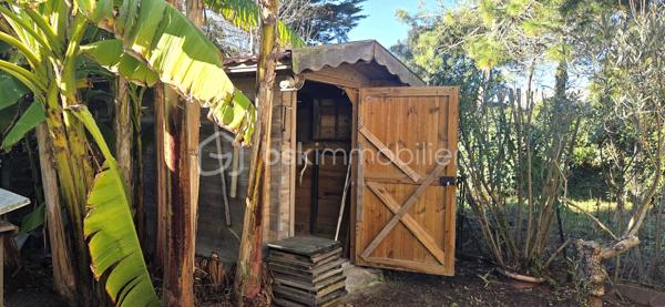 A saisir à 100 m de la plage de la Parée, sur un terrain et un jardin sans vis à vis, une maison de 41 m² habitables environ, comprenant une pièce de vie avec poêle à bois, une chambre avec placard, une salle d'eau, un wc séparé, et une cuisine aménagée et équipée. En mezzanine ce bien plein de charme, vous réserve une chambre d'appoint de plus de 20 m², pouvant contenir quatre couchages, pour inviter famille, ou amis. A l'arrière vous profiterez au calme, de sa terrasse, et l'abri de jardin pourra acceillir matériel de plage, vélos, et autres planches de surf ou à voile.
Vous bénéficierez ainsi de l'activité et des commerces de la Parée, et le calme de son jardin, en secondaire telle quelle ou en principale, avec quelques travaux.