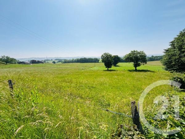 Terrain à vendre  1290 m2 CRANDELLES - 15