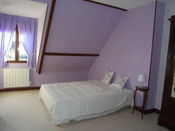 Maison à vendre à Saint-Laurent-Nouan dans le Loir-et-Cher (41220), ref : 091/1499