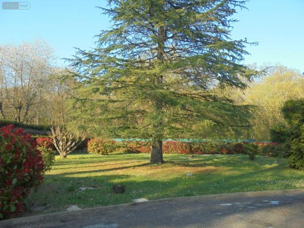 Maison à vendre à Saint-Laurent-Nouan dans le Loir-et-Cher (41220), ref : 091/1499