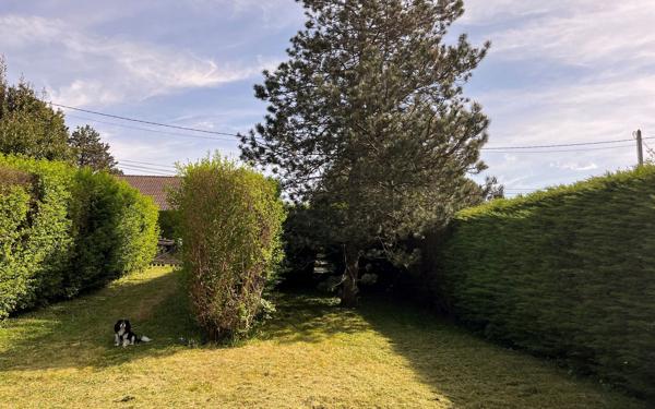Terrain à vendre