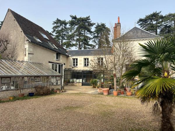 Rare sur Saint Avertin