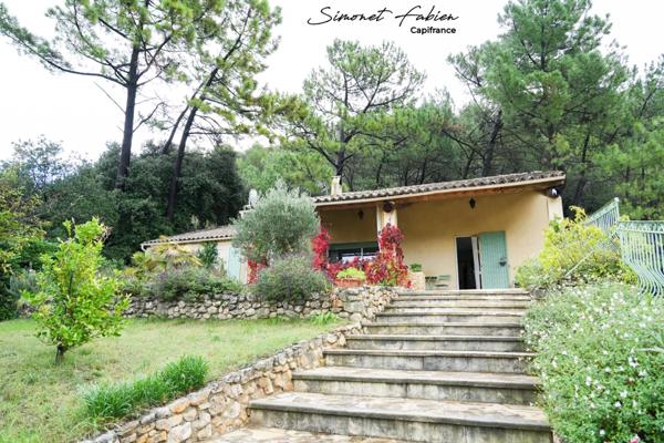 Grande maison familiale avec piscine au cœur de la verdure.