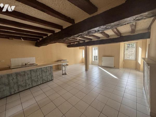 VILLEDIEU LA BLOUERE