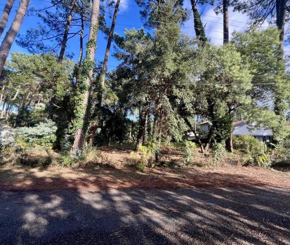 Hossegor Terrain de 1434 m2