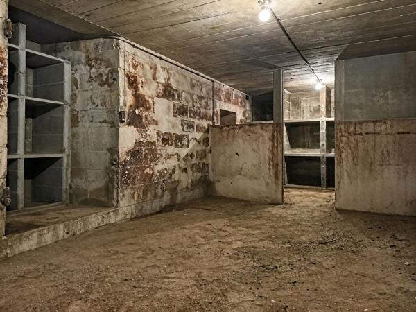 Maison sur sous-sol 4 chambres avec dépendance - VERNANTES (49390)