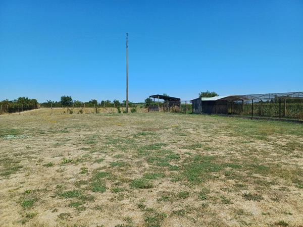Maison sur sous-sol 4 chambres avec dépendance - VERNANTES (49390)