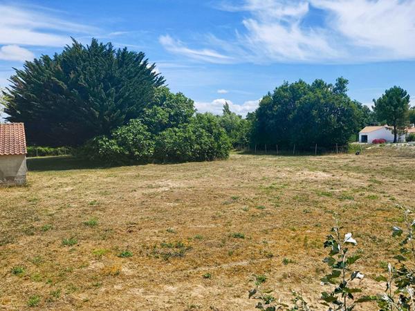 Terrain - Notre Dame De Monts - 910 m2