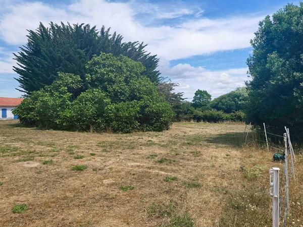 Terrain - Notre Dame De Monts - 910 m2