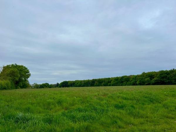 Maison maison de campagne Loireauxence 129.40 m²