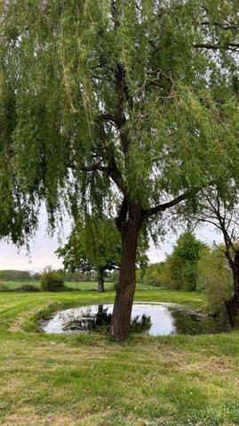 Maison maison de campagne Loireauxence 129.40 m²