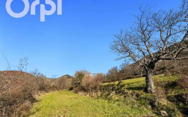 Terrain à vendre    Darbres