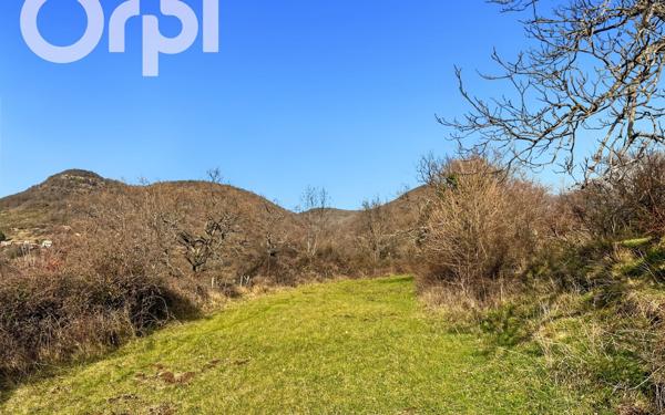 Terrain à vendre    Darbres