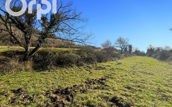 Terrain à vendre    Darbres