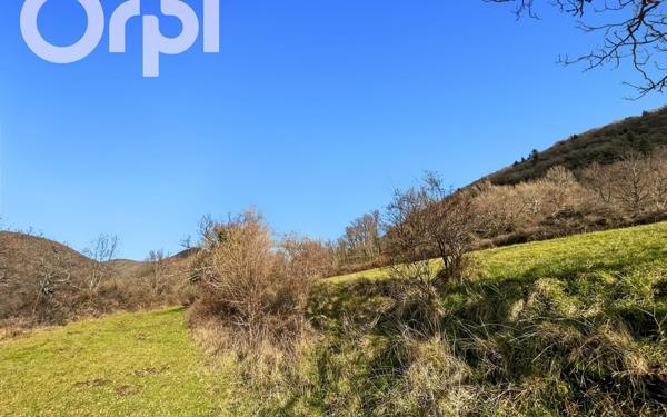 Terrain à vendre    Darbres