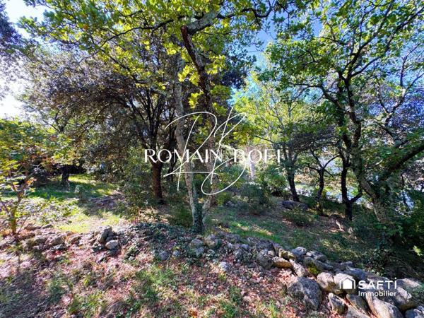 Maison 4 pièces de 156m2 sur 1786m2 de terrain avec piscine