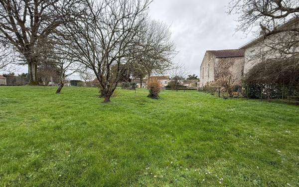 Maison à vendre    6 pièces •  Cozes