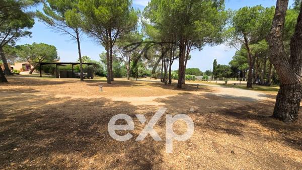 DOMAINE SUR 16000M²