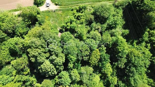 Terrain de 5 625 m²