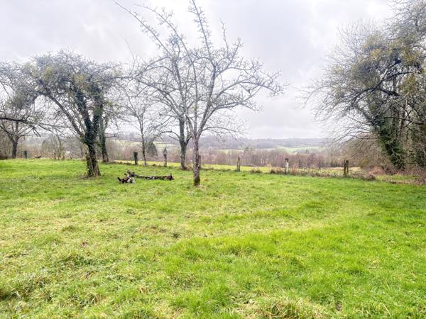 Maison 5 pièces - 106 m²