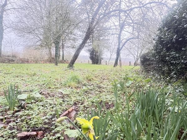 Maison 5 pièces - 106 m²