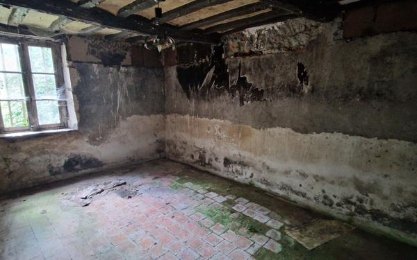 Maison à vendre    4 pièces •  Nécy