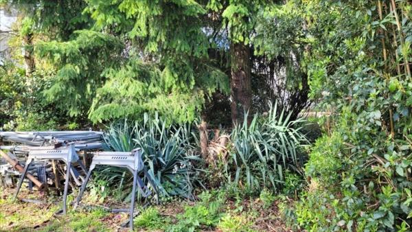 Terrain à Batir à vendre à La Londe en Seine-Maritime (76500), ref : 55000