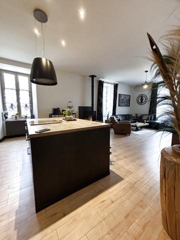 CHATILLON SUR SEINE :Appartement moderne de 130m² proche du centre ville au cœur de la nature sur 2 hectares  Châtillon-sur-Seine (21400)
