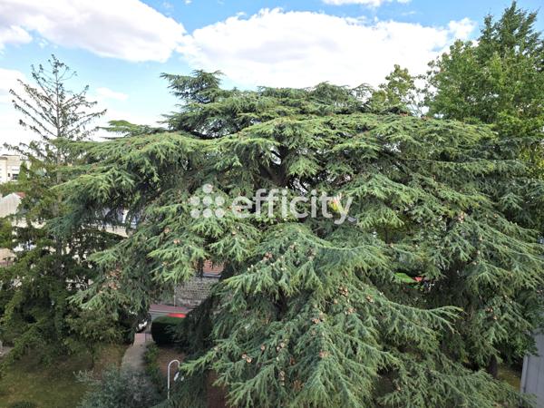 Appartement 2 pièces - 35 m² Exclusivité efficity