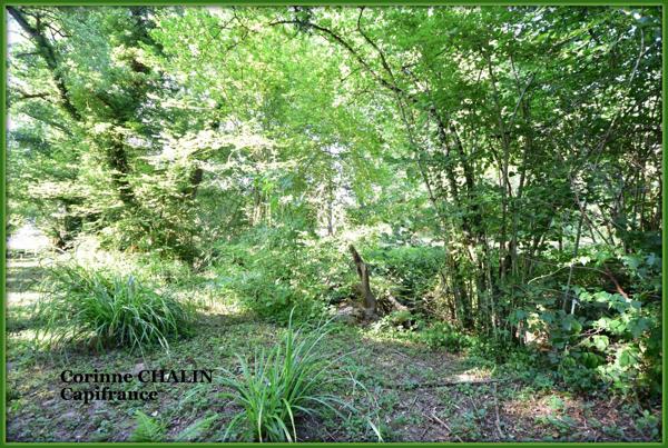 Maison à vendre 3 pièces 64.45m2 BERT (03)