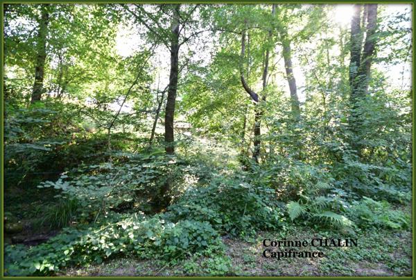 Maison à vendre 3 pièces 64.45m2 BERT (03)