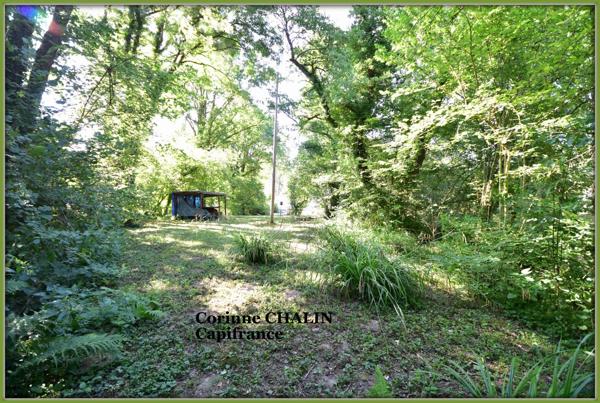 Maison à vendre 3 pièces 64.45m2 BERT (03)