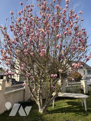2394 - MAISON DE PLAIN PIED AVEC DEUX CHAMBRES - JARDIN DE 522M² AVEC GARAGE