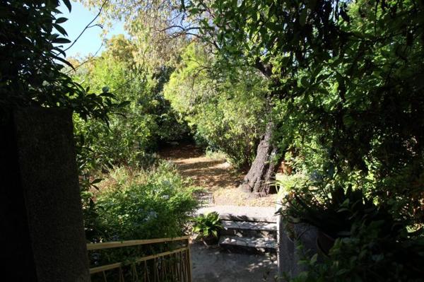 Une pépite à Montpellier