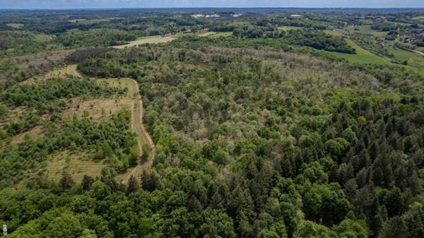 Maison ancienne - St pierre de chignac Domaine forestier d’exception avec bâtis en pierre – 100 hectares de nature préservée