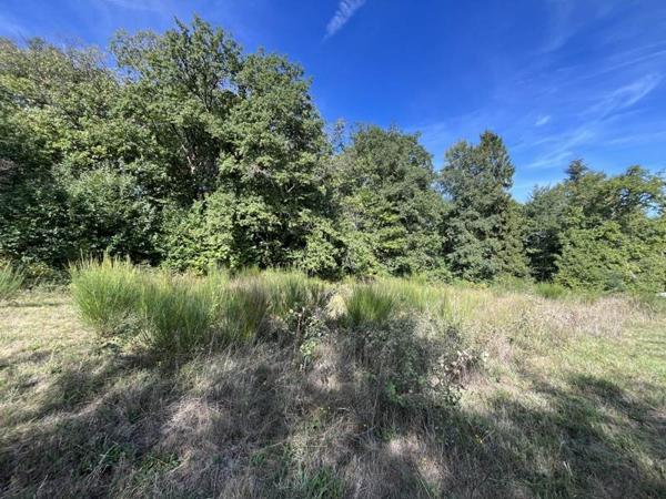 Terrain à vendre 49 000 € Saint-Yrieix-la-Perche 27618 m² DPE