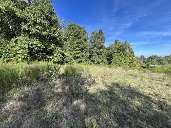 Terrain à vendre 49 000 € Saint-Yrieix-la-Perche 27618 m² DPE