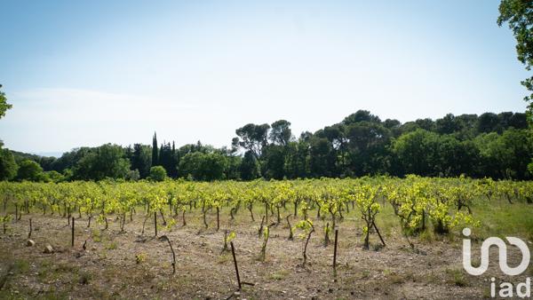 Maison à vendre 10 pièces 693 m² L'Isle-sur-la-Sorgue