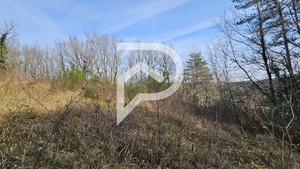Terrain 9790 m2