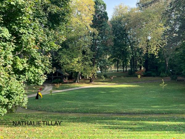 Propriété, à vendre OLIVET proche Orléans , EXCEPTIONNELLE,  1h du péage Paris St Arnoult, piscine , parc et  Bord du Loiret