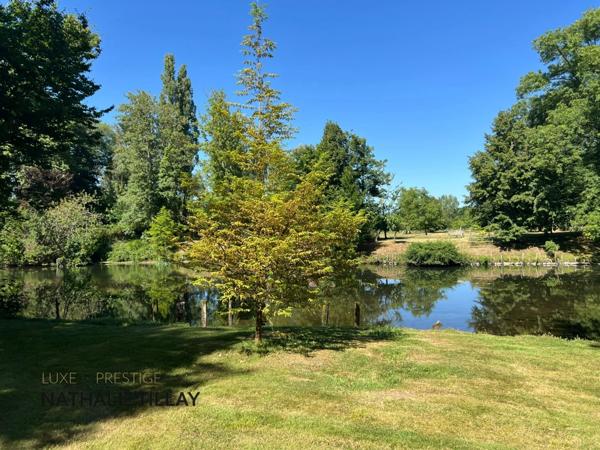 Propriété, à vendre OLIVET proche Orléans , EXCEPTIONNELLE,  1h du péage Paris St Arnoult, piscine , parc et  Bord du Loiret