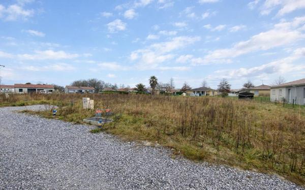 Terrain à vendre    Pomarez