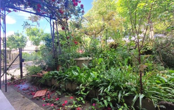 Vente Maison de ville Avec jardinet à rafraîchir Clairac   