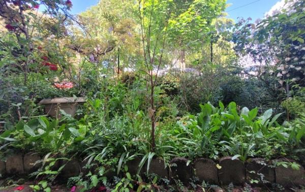 Vente Maison de ville Avec jardinet à rafraîchir Clairac   