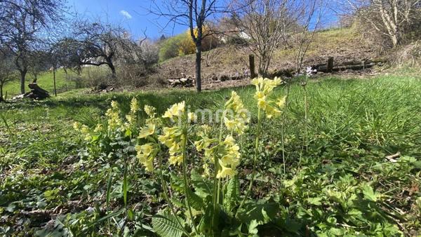 Terrain constructible en pleine nature